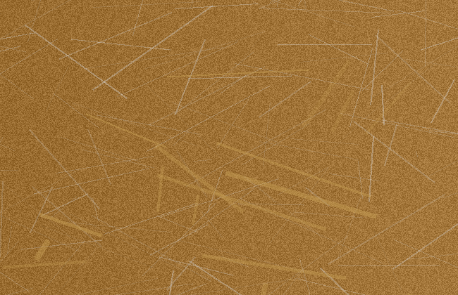GA-TESTE-009